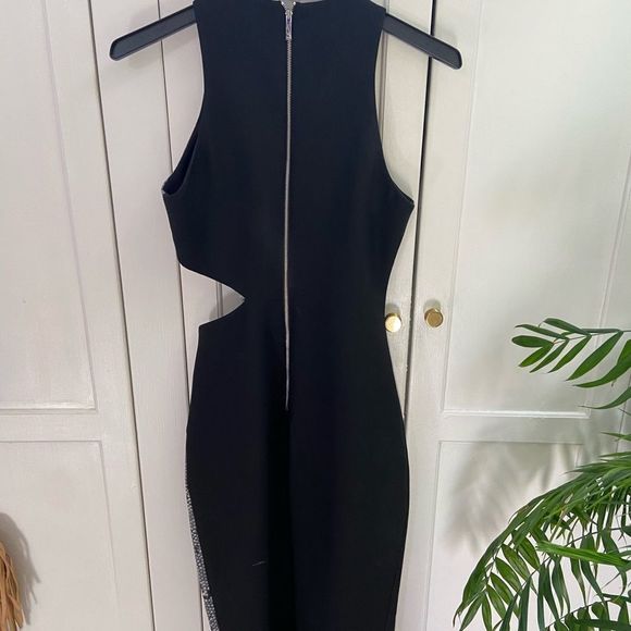 Elizabeth & James Snakeskin Dress 🐍🖤 - Picture 3 of 5